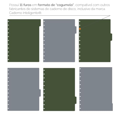 Divisórias Iscool P/Caderno De Disco G Spot Verde Militar e Grafite Claro