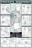 Tricep Workout Laminated Poster 24