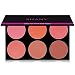 SHANY Masterpiece 6 Colors Large Blush Palette/Refill -"SHE'S NOT SHY"