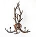 Antler Wall Sconce