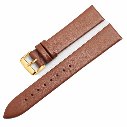 Bracelet montre de rechange pour réparer votre bracelet usé CK K2Y211 K2M23 12mm