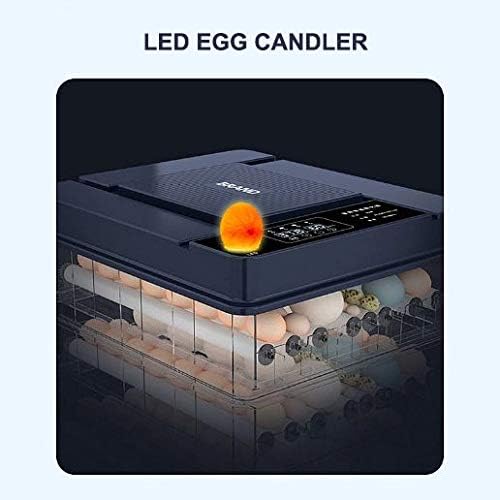 デジタルインキュベーターブリーダー、家禽孵化機、温度制御、卵