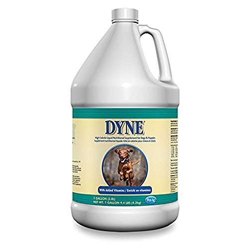 Dyne High Calorie Liquid for Dogs, Gallon
