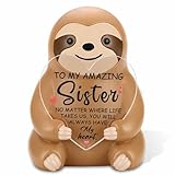 VYNWPDFLI Encouragement Gift for Sister, Birthday Gift for Sister, Personalized Present for Sis, Comforting Home Desk Decor for Sis, LOP22