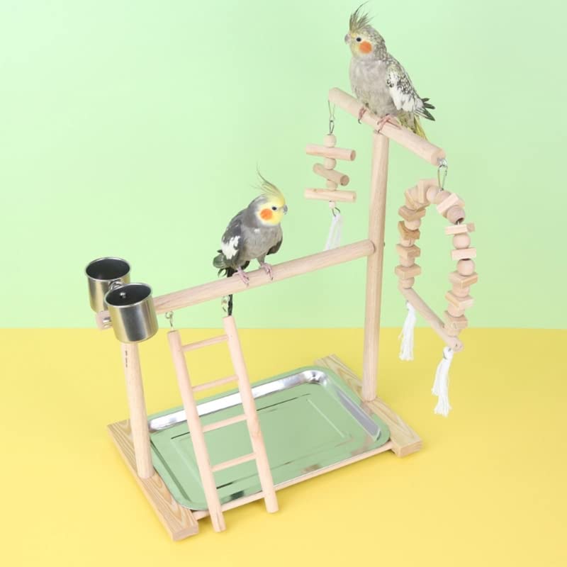 Percha para pájaros Soporte de Percha for pájaros, Soporte Juegos for Loros con Bandeja Acero Inoxidable, Vasos alimentación, Escalera, Columpio, Juguete for Masticar for