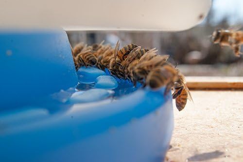 Homestead Essentials Ultimate Hive Feeder for Beekeepers 2 Pack from Farmstand Supply (in Hive)