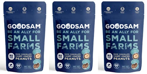 GOODSAM - Sugar Free, 55% Dark Chocolate Candy Coated Nuts - 3 Bags (single flavor) - Peanuts