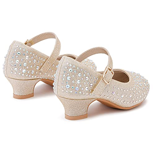 Walofou Flower Cham Girls Dress Shoes Girl Shoes Mary Jane Princess Shoes Girls' High Heel Girls' Ballerina Flat For Toddler/Little Kid Girls' Shoes/Big Kid (03 Cham 12) #TOP4