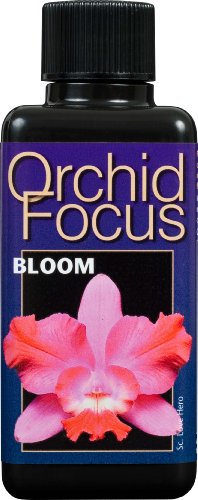 Preisvergleich Produktbild Orchid Focus Bloom 100ml - Growth Technology