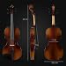 Classic Cantabile Student Violinenset 4/4 (Einsteiger/Schülerinstrument, Geige, Boden & Zargen aus Ahorn, Massive Fichtenholz Decke, Ahorn Steg, Inkl. Etui, Bogen und Kolofonium)