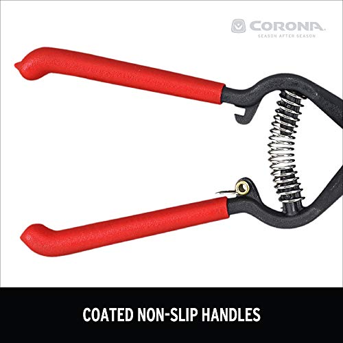 Tijeras para césped Corona GS 6750D ClassicCUT 4.5 in miniatura 6