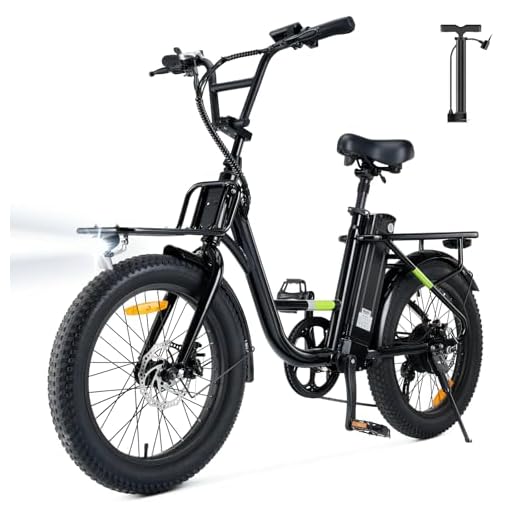 AYOLNY 1000W Cargo Step-Thru Electric Bike