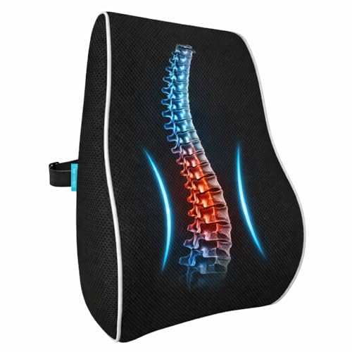 bonmedico Cojin Lumbar Ortopedico - Almohada Ergonomica de Espuma Viscoelastica para Silla de Oficina, Coche y Sofá - Soporte Espalda y Cuello