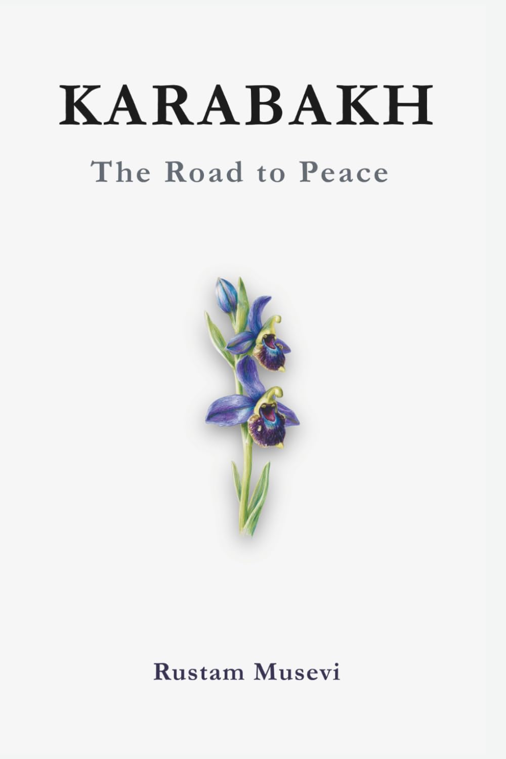 Karabakh: the Road to Peace: A History of Conflict Between Armenia and Azerbaijan      Paperback – March 3, 2026