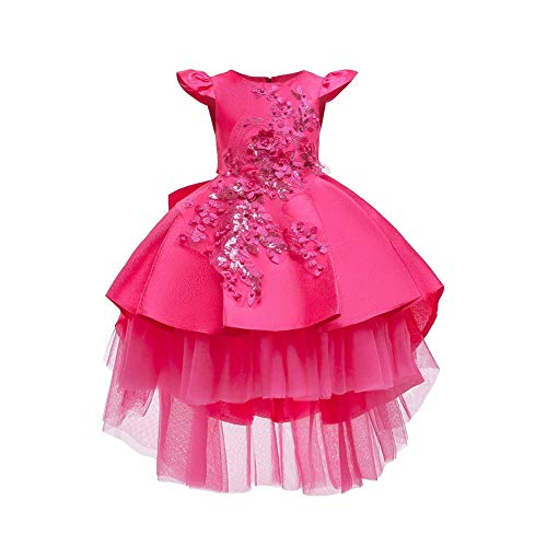 Flower Girl Vintage Embroidery High-Low Lace Floral Dress for Kids Princess Birthday Wedding Bridesmaid Evening Formal Pageant A Line Birthday Party Maxi Ball Gown Dresses Hot Pink 2-3 Years