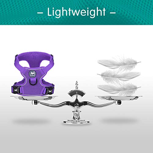 Poypet Reflective Soft Breathable Mesh Dog Harness No Choke Double Padded Vest Adjustable(Purple,L) #TOP5