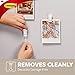 Command Spring Clips, Quartz, 8-Clips (17089Q-8ES), Great for dorm decor