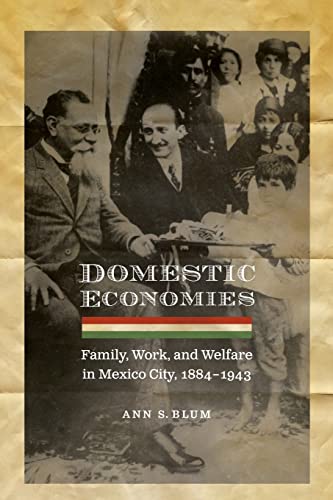 Domestic Economies: Family, Work, and Welfare in Mexico City, 1884-1943 (Engendering Latin America)