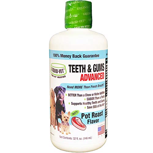 Find The Best Dental Liquid For Dogs Reviews & Comparison Katynel