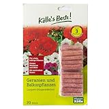 Kölle's Beste!