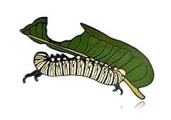 Monarch Caterpillar Eating Leaf