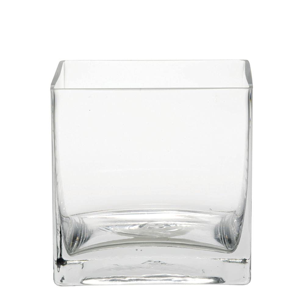 Floralcraft Transparent Floralcraft® 14Cm Cube Vases, Heavy Modern Contemporary Flower Vase