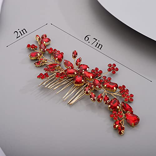 Probióticos, Imagen adicional