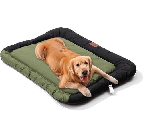 Waigg Kii Cuccia per cani extra large, impermeabile, a prova di urina, per dormire profondamente, anti-ansia, divano letto per cani e gatti, cuscino in tessuto Oxford con fondo antiscivolo (verde, M