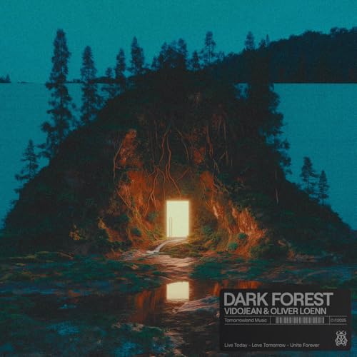 Vidojean X Oliver Loenn