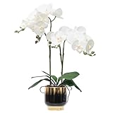 CXGS Orchids Artificial Flowers Real Touch Fake Flowers in Ceramic Pot 20