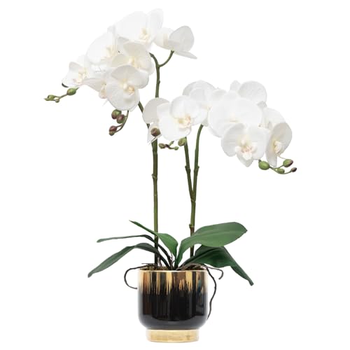 CXGS Orchids Artificial Flowers Real Touch Fake Flowers in Ceramic Pot 20
