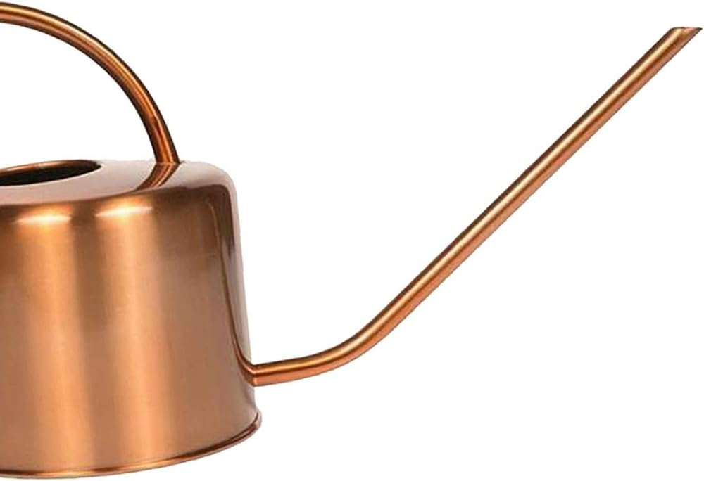 Arrosoir décoratif couleur cuivre 1,275 g – Bec verseur en col de cygne pour un arrosage rapide et facile des plantes d'intérieur
