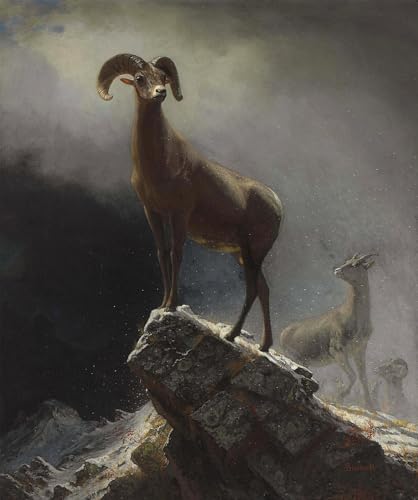 Affiches d'art Mouton de montagne Albert Bierstadt peinture decorative toile 60x90