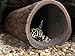 Plecoceramics Aquarium pleco breeding cave Fish Tank Decorations Small Size (1 pcs)