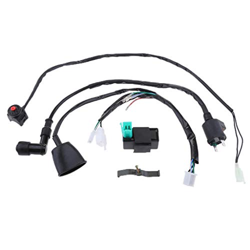 Kesoto Wire Loom – Interruptor de ignição CDI para bicicleta de sujeira 110cc 125cc 140cc