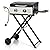 GREEN PARTY 2 Burner BBQ Propane Gas Griddle with Collapsible Stand, 18 Inch Portable Griddle with Side Table & 253 Sq. In. Cooking Area, Flat Top Gas Grill for Outdoor Cooking Garden Patio Backyard