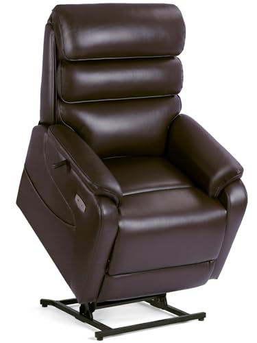 EONIX Dual Motor Lay Flat Power Lift Recliner Chair for Elderly, ...