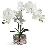 Tamaño: la altura total de la planta de orquídea es de 49 cm, el jarrón cuadrado plateado es de aproximadamente 11 cm. Puedes doblar toda la rama como quieras.