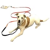 Dog Holder/Camping mit Hund/befahrbarer Ankerpunkt/Bodenanker für Wohnmobil/Wohnwagen aus Edelstahl SEHR STABIL