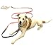 Dog Holder/Camping mit Hund/befahrbarer Ankerpunkt/Bodenanker für Wohnmobil/Wohnwagen aus Edelstahl SEHR STABIL