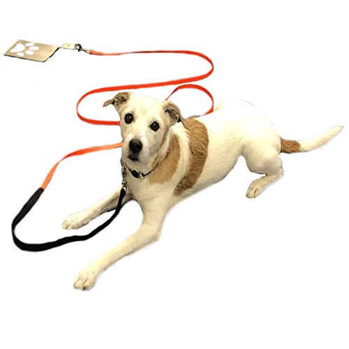 Dog Holder/Camping mit Hund/befahrbarer Ankerpunkt/Bodenanker für Wohnmobil/Wohnwagen aus Edelstahl SEHR STABIL