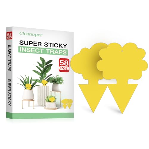 Sticky traps capturing fungus gnats and flying insects