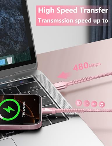Image of USB C Cable 10FT, 2Pack Long USB A to USB C Charger Cable, Type C Cable Fast Charging Upgraded Extra Durable Braided USBC Cord Compatible with iPhone 17 16 15 Pro Max Plus and More USB C Devices-Pink
