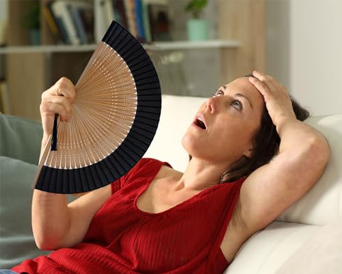 Sthuahe STHUAHE-2024-1 Hand Held Fan For Women Foldable, Chinese Japanese Vintage Bamboo Silk Folding Fans Hand Fan thumb #2
