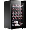 STAIGIS 24 Bottle Mini Fridge, Small Freestanding Wine Cooler Refrigerator for Red and White with 40-66F Digital Temperature Control Glass Door