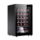 STAIGIS 24 Bottle Mini Fridge, Small Freestanding Wine Cooler Refrigerator for Red and White with 40-66F Digital Temperature Control Glass Door