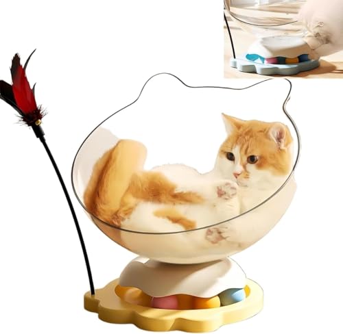 Livmorx 肵y  SŒ܂Ȃ Lpi h h ʋC݌v ̌^@\ Lxbh ȔL L @\ Lp{[ H̔L炵 yC^NV FD^ ]{[ XgX (CG[,30c