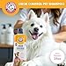 Arm & Hammer for Pets Odor Control Pet Shampoo, Value Size Bottle with Pump | Odor Eliminating Dog Shampoo | Great for All Dogs & Puppies, Fresh Kiwi Blossom Scent, 24 oz