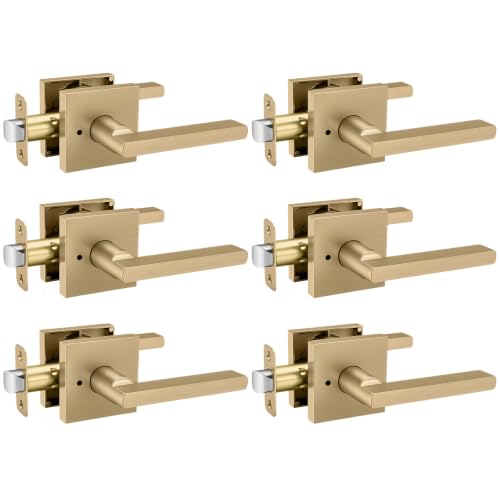 Goldenwarm Champagne Bronze Door Handles Privacy Zinc Alloy Champagne Bronze Door Handle for Bedroom Bathroom Decorative Door Handles Interior Adjustable & Reversible - 6 Pack
