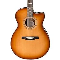 Solid Sitka Spruce top Ovangkol back & sides Fishman Gt1 electronics Angelus cutaway Includes PRS hard-shell case